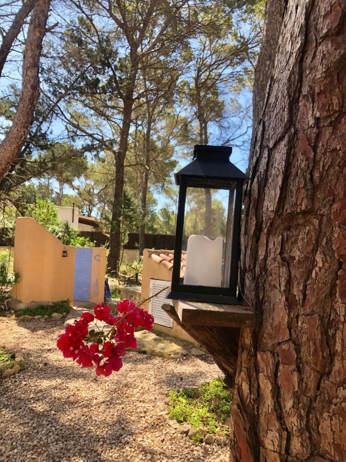 Apartment Sa Ginebra, Cala Saona